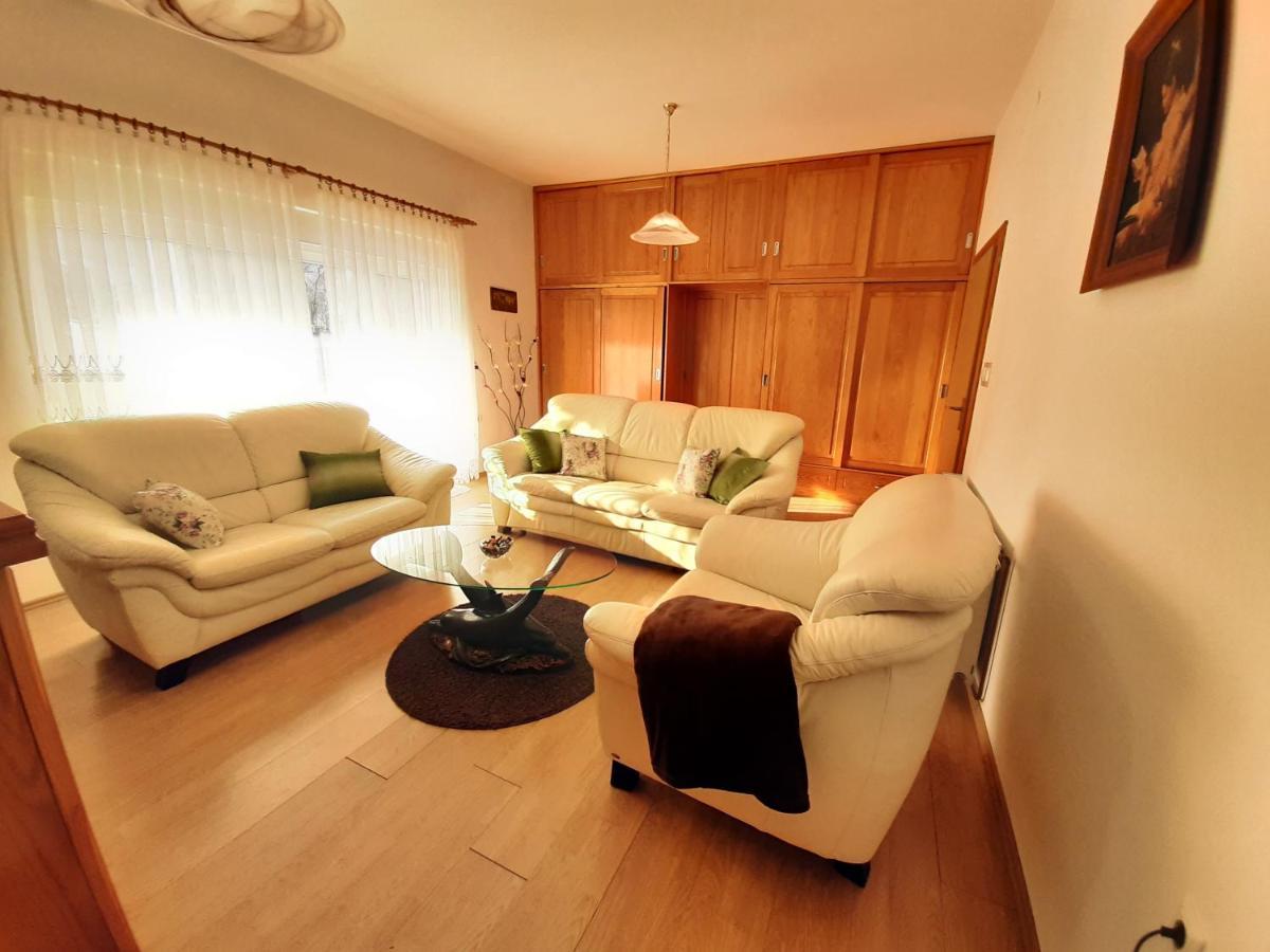 Apartment Gorska Vila Ogulin Eksteriør bilde